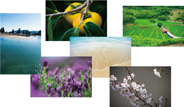 写真素材の例、6点